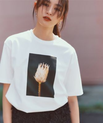 ＜自由区 S (Women/小さいサイズ)＞【カタログ掲載・洗える】ＰＨＯＴＯ　Ｔシャツ（ＫＫＷ７ＣＡ０１３３）