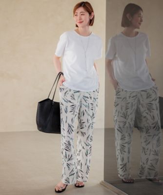 【洗える】ＡＬＢＩＮＩコーコラン　シャツテール　Ｔシャツ（ＫＫＷＯＣＭ０５３９）