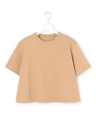 【ＧＬＯＷ６月号掲載／洗える】スビンギザコットン　クロップド　Ｔシャツ（ＫＫＷＳＧＭ０４３８）