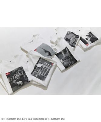 23区今季キャメルTシャツ サイズ44 23区／LIFE】PHOTO Tシャツ（KKWSSM0541