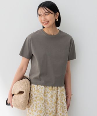 【洗える】スビンギザ　クロップド　Ｔシャツ（ＫＫＷＷＣＭ０４３８）