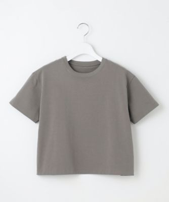【洗える】スビンギザ　クロップド　Ｔシャツ（ＫＫＷＷＣＭ０４３８）