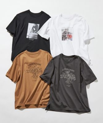 【洗える】ＪＡＮＥ　ＰＡＣＫＥＲコラボ　フォトプリント　Ｔシャツ（ＫＫＷＷＧＭ６１３４）