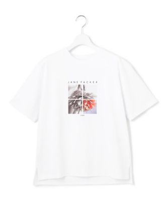 【洗える】ＪＡＮＥ　ＰＡＣＫＥＲコラボ　フォトプリント　Ｔシャツ（ＫＫＷＷＧＭ６１３４）
