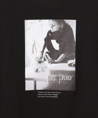【洗える】ＪＡＮＥ　ＰＡＣＫＥＲコラボ　フォトプリント　Ｔシャツ（ＫＫＷＷＧＭ６１３４）