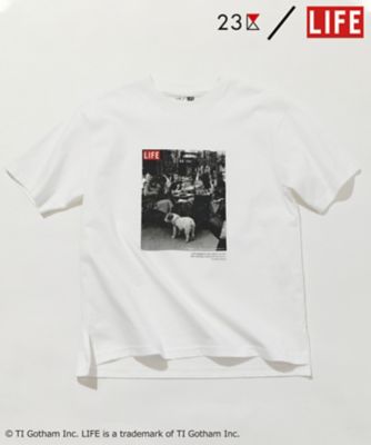 【２３区／ＬＩＦＥ】ＰＨＯＴＯ　Ｔシャツ（ＫＫＷＷＳＭ０５４１）