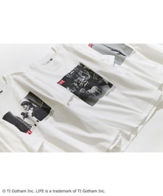 【２３区／ＬＩＦＥ】ＰＨＯＴＯ　Ｔシャツ（ＫＫＷＷＳＭ０５４１）