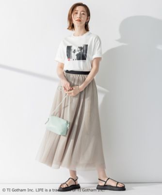【２３区／ＬＩＦＥ】ＰＨＯＴＯ　Ｔシャツ（ＫＫＷＷＳＭ０５４１）