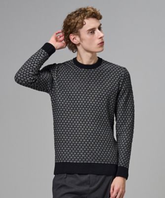 チャンディーガルジャカード クルーネックニット