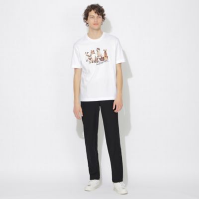 【ＷＥＢ限定】ブリティッシュドッグＴシャツ（５１Ｐ８８５０８＿＿）