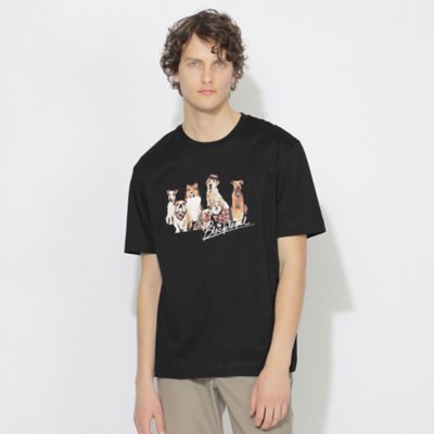 【ＷＥＢ限定】ブリティッシュドッグＴシャツ（５１Ｐ８８５０８＿＿）