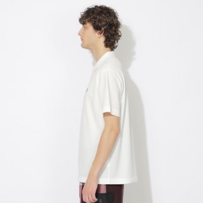 【ＷＥＢ限定】ポロカラーＴシャツ（５１Ｐ９６５０６＿＿）