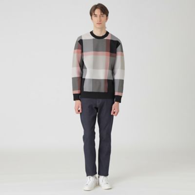 ダブルフェイスクレストブリッジチェックレギュラーフィットデニム（５１Ｒ３２５４２＿＿）