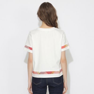 【ＷＥＢ限定】バイオシルケットスムースチェックラインＴシャツ（５５Ｐ１７５７０＿＿）