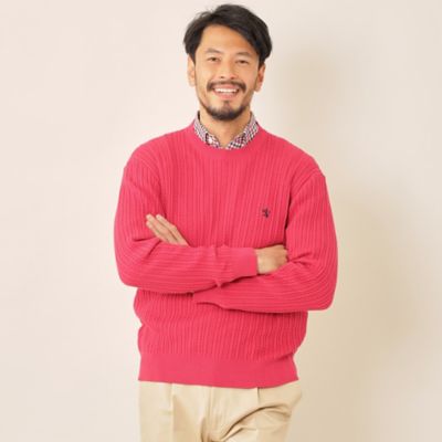 綿／麻ケーブルクルーネックセーター（Ｆ１Ｎ０１１１０＿＿）
