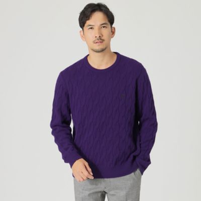 ＷＥＢ・一部店舗限定】【ＴＨＥ ＵＲＢＡＮ ＣＯＬＬＥＣＴＩＯＮ】カシミヤケーブルクルーネックニット（Ｆ１Ｎ０１４７１＿＿） | THE SCOTCH  HOUSE (Men)/ザ・スコッチハウス | 三越伊勢丹オンラインストア・通販【公式】