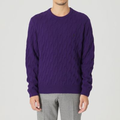 【ＷＥＢ・一部店舗限定】【ＴＨＥ　ＵＲＢＡＮ　ＣＯＬＬＥＣＴＩＯＮ】カシミヤケーブルクルーネックニット（Ｆ１Ｎ０１４７１＿＿）