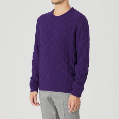 【ＷＥＢ・一部店舗限定】【ＴＨＥ　ＵＲＢＡＮ　ＣＯＬＬＥＣＴＩＯＮ】カシミヤケーブルクルーネックニット（Ｆ１Ｎ０１４７１＿＿）