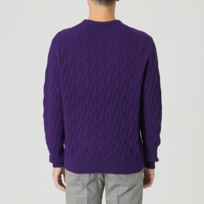 【ＷＥＢ・一部店舗限定】【ＴＨＥ　ＵＲＢＡＮ　ＣＯＬＬＥＣＴＩＯＮ】カシミヤケーブルクルーネックニット（Ｆ１Ｎ０１４７１＿＿）