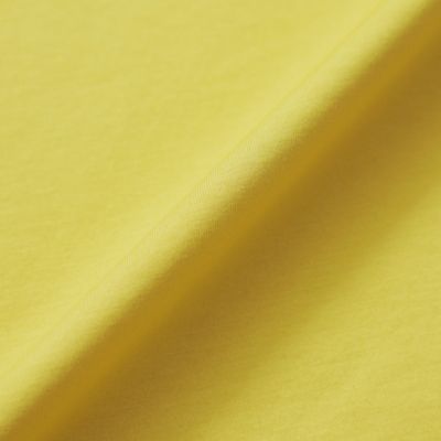 【Ｔｈｅ　Ｅｓｓｅｎｔｉａｌ　Ｃｏｌｌｅｃｔｉｏｎ】プレーティング天竺リラックスＴシャツ（Ｇ５Ｐ０７３５８＿＿）