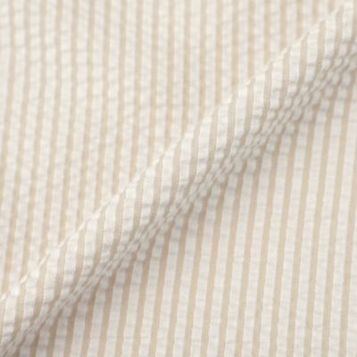 【エクラ掲載】ストレッチサッカーストライプ半袖ブラウス（Ｇ５Ｐ１７３６３＿＿）