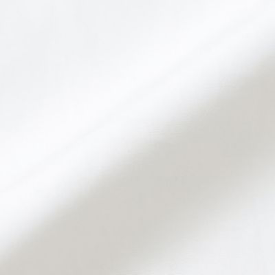 【Ｌ】【Ｔｈｅ　Ｅｓｓｅｎｔｉａｌ　Ｃｏｌｌｅｃｔｉｏｎ】スビンコットンブロードシャツ（Ｇ７Ｍ０４８２１＿＿）