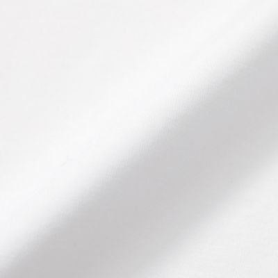 【Ｌ】【Ｔｈｅ　Ｅｓｓｅｎｔｉａｌ　Ｃｏｌｌｅｃｔｉｏｎ】プレーティング天竺リラックスＴシャツ（Ｇ７Ｐ０７１５８＿＿）