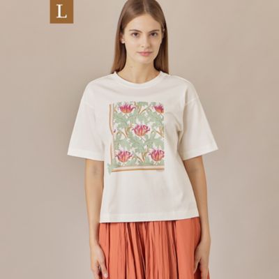MACKINTOSH LONDON L (Women/大きいサイズ) / マッキントッシュ
