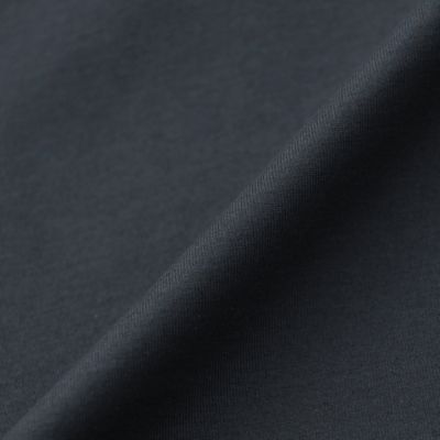 【Ｌ】【Ｔｈｅ　Ｅｓｓｅｎｔｉａｌ　Ｃｏｌｌｅｃｔｉｏｎ】プレーティング天竺プルオーバー（Ｇ７Ｐ２９３５８＿＿）