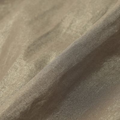 【Ｌ】【婦人画報掲載】箔オーガンジースカート（Ｇ７Ｓ０５３４１＿＿）