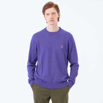 バッキンガムベア 綿ウール天竺 クルーネックプルオーバーニット