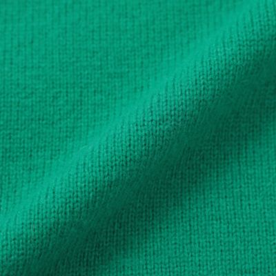 【ＷＥＢ＆一部店舗限定】９Ｇ天竺　タートルネックニット（Ｈ１Ｎ４２２４９＿＿）