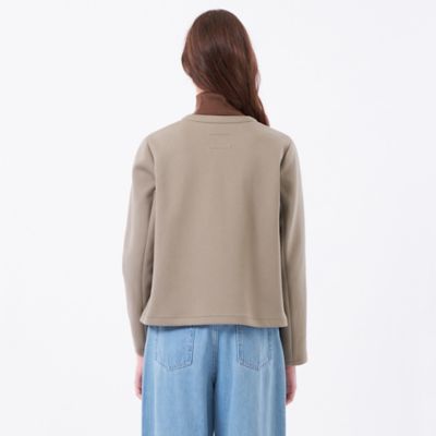 WEB＆一部店舗限定】バッキンガムベア ノーカラーダンボール