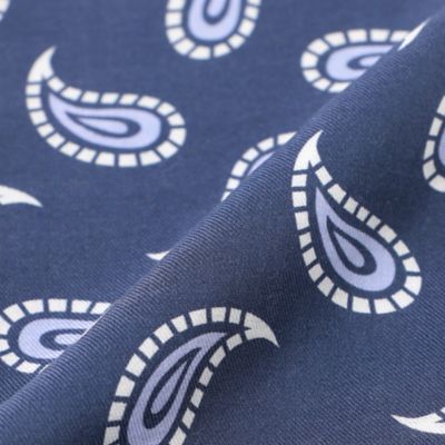【Ｎｉｋｋｅｉ　ｍａｇａｚｉｎｅ掲載】ミニストール／ペイズリー柄（Ｊ１７２０５１０＿＿）
