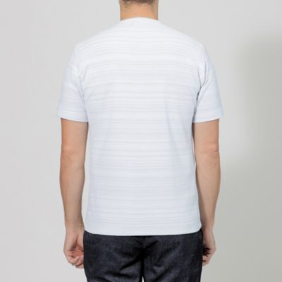 メッシュシャドーボーダーカットソー（Ｍ１Ｐ０３３５４＿＿）