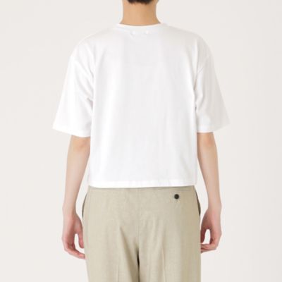 【１枚で着映える】クロップドプリントＴシャツ（Ｎ５Ｐ０７３４３＿＿）
