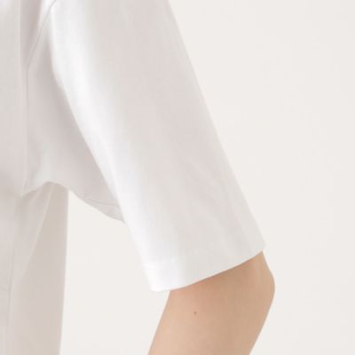 【１枚で着映える】クロップドプリントＴシャツ（Ｎ５Ｐ０８３４３＿＿）
