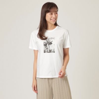 ＜TRANSWORK (Women)＞【ウォッシャブル】メガハイゲージプリントＴシャツ（Ｕ１Ｐ０８１３９＿＿）