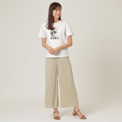 【ウォッシャブル】メガハイゲージプリントＴシャツ（Ｕ１Ｐ０８１３９＿＿）