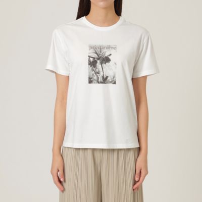 【Ｌ】【ウォッシャブル】メガハイゲージプリントＴシャツ（Ｕ３Ｐ０８１３９＿＿）