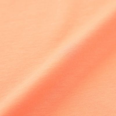 【Ｌ】【ウォッシャブル】シルケットポンチフレンチスリーブプルオーバーカットソー（Ｕ３Ｐ５１３５３＿＿）