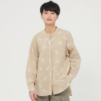 人気商品✨現行2025SS かぐれ コットンボイルアンガルカシャツ ホワイト antiqua KANGOL×TREECAFE コラボロンT レディース 送料無料