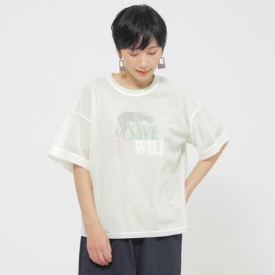 【カタログ掲載品】【ウォッシャブル】ソフトシアーカットソー（Ｕ５Ｐ１６５４７＿＿）