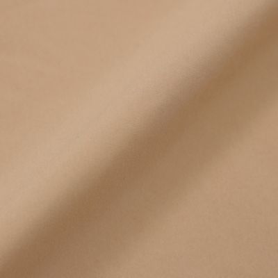 【Ｌ】【ウォッシャブル】タスランタイプライターシャツワンピース（Ｕ７Ｊ７０２２４＿＿）