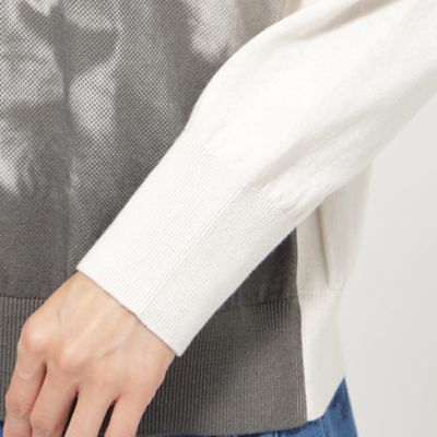 【Ｌ】【ウォッシャブル】ライオンプリントニットプルオーバー（Ｕ７Ｎ０８５２９＿＿）