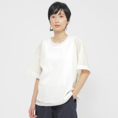 【Ｌ】【カタログ掲載品】【ウォッシャブル】ソフトシアーカットソー（Ｕ７Ｐ１６５４７＿＿）