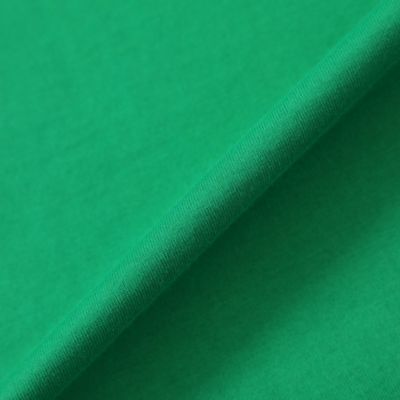 ◆◆＊Ｗｉｎｇｓ掲載＊【Ｌ】【ウォッシャブル】タイガーパッチＴシャツ（Ｕ７Ｐ３３１５７＿＿）