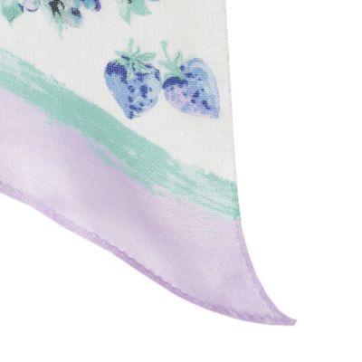 シルクメッシュフルーツスカーフ（Ｖ５７４４５２１＿＿）