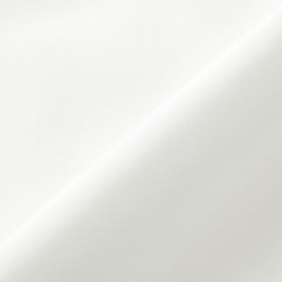 【Ｌ】ブライトクロス　タックフリルブラウス（Ｗ７Ｍ０７３０１＿＿）