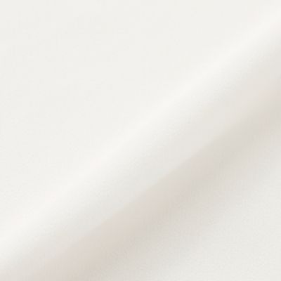 【Ｌ】ビックカラー　ブラウス（Ｗ７Ｍ１２４４９＿＿）